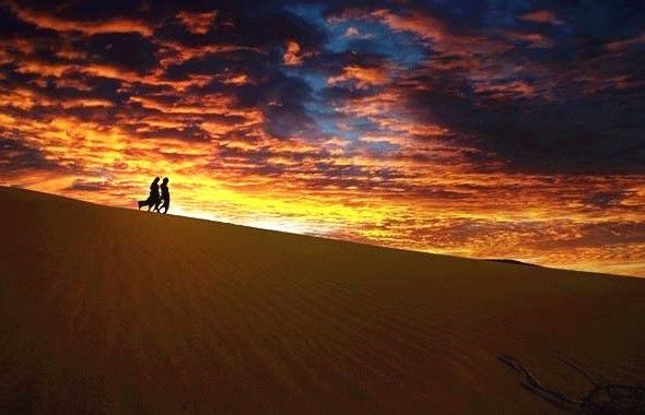 十條最適合自駕出游的家佳樂(lè)文學(xué)景公路，一路美景