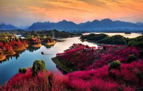 十條最適合自駕出游的家佳樂文學(xué)景公路，一路美景