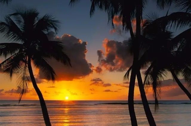 十條最適合自駕出游的家佳樂文學景公路，一路美景