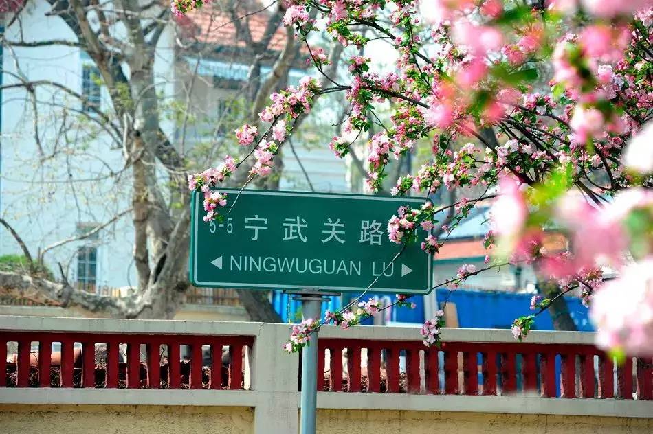 清明小長(zhǎng)假，去這9個(gè)絕美的地方踏青