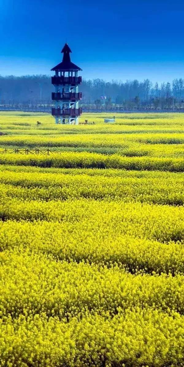 清明小長(zhǎng)假，去這9個(gè)絕美的地方踏青