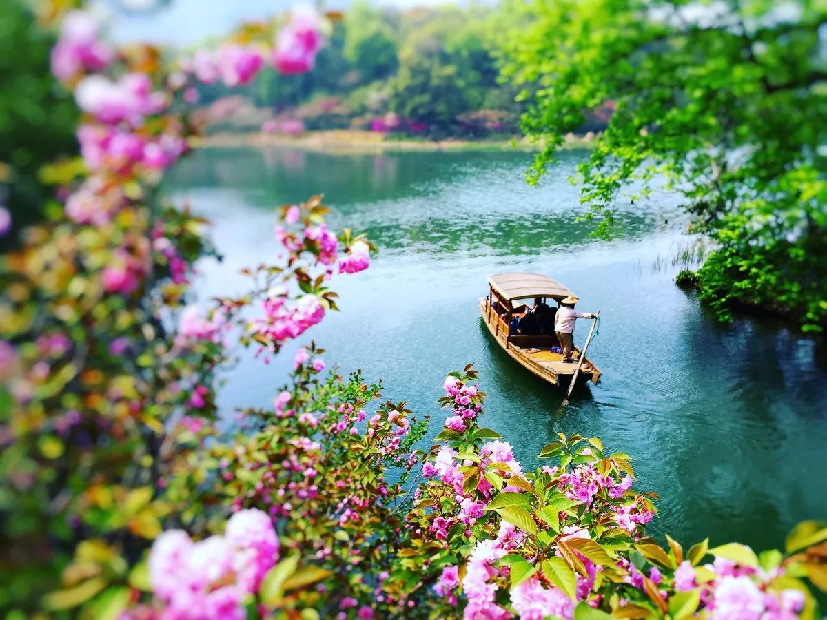 清明小長假，去這9個絕美的地方踏青