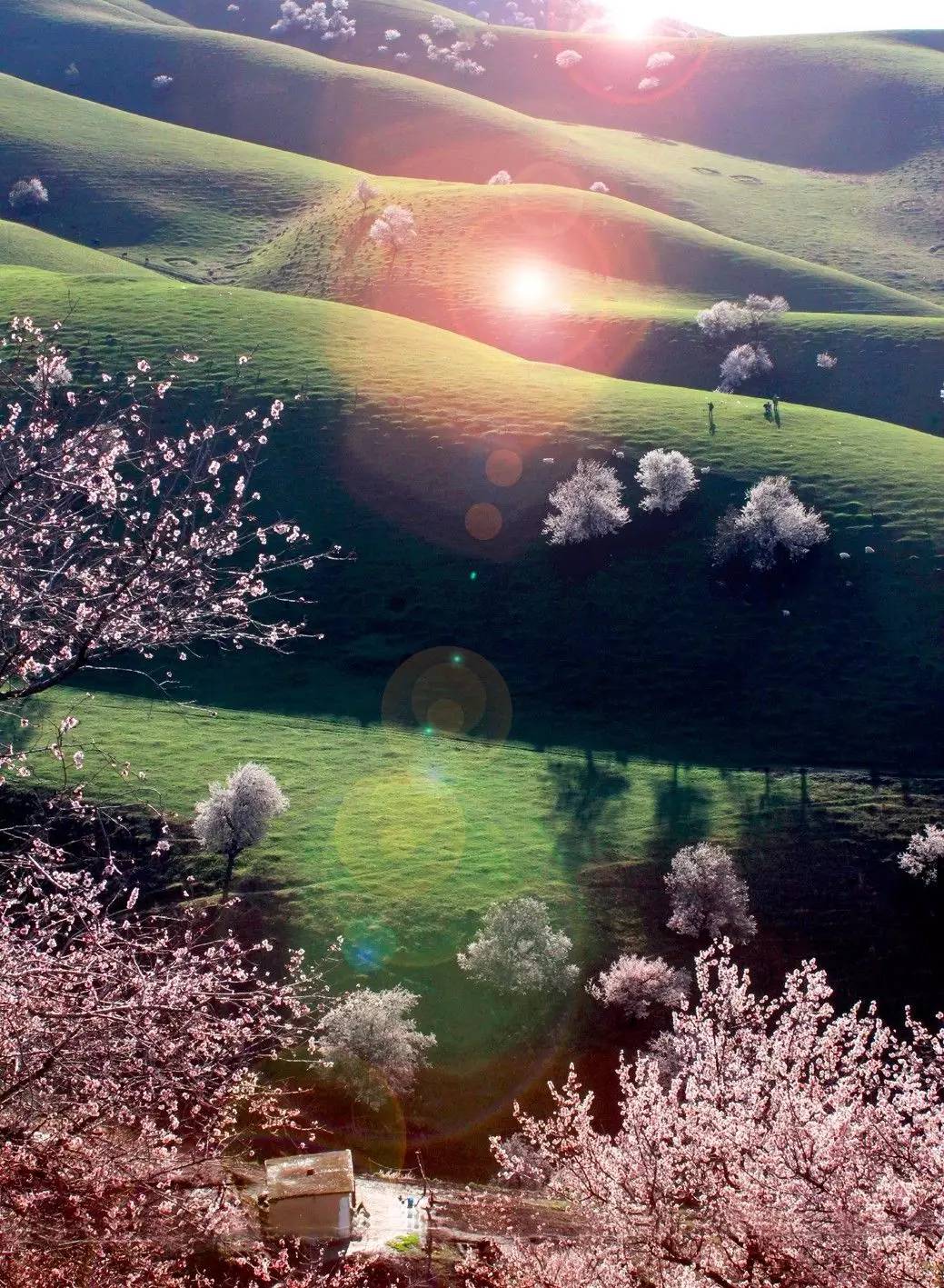 清明小長假，去這9個絕美的地方踏青