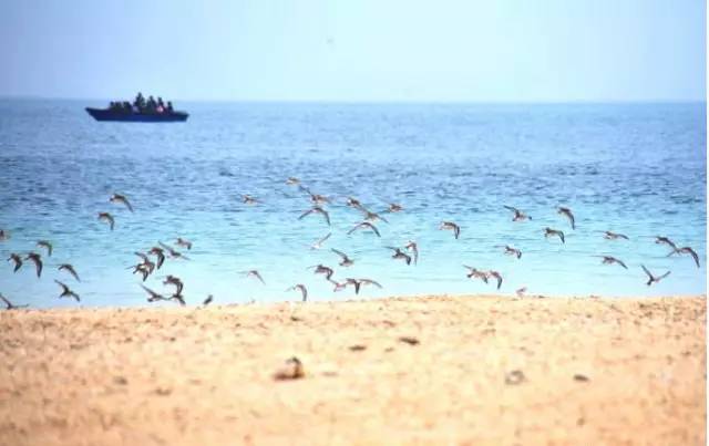 清明小長假，去這9個(gè)絕美的地方踏青