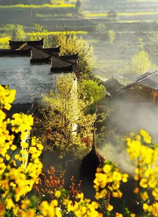 清明小長假，去這9個(gè)絕美的地方踏青