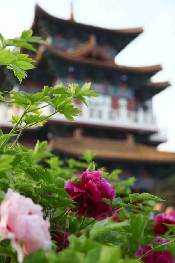 清明小長假，去這9個絕美的地方踏青