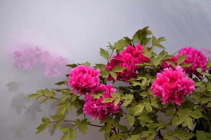 清明小長假，去這9個絕美的地方踏青