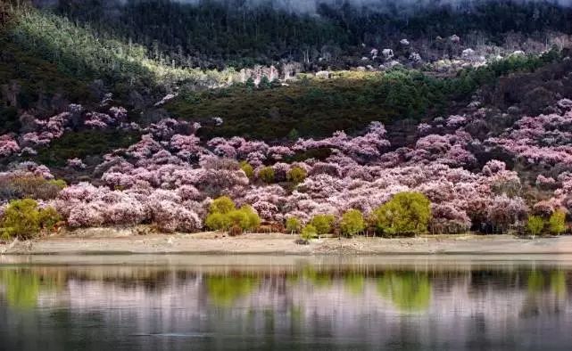 踏青尋色，春風(fēng)十里不如你
