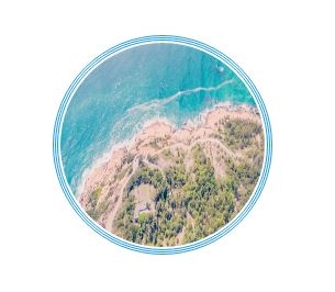 踏青尋色：春光無限好，只為等待一個你