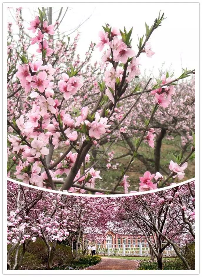 唯美風(fēng)景圖片，踏青游玩美翻天！