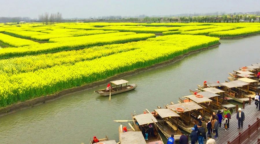 最美人間四月，詩情畫意不可錯(cuò)失的風(fēng)景推薦