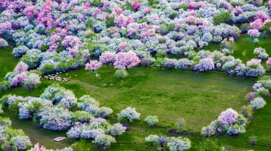 最美人間四月，詩情畫意不可錯(cuò)失的風(fēng)景推薦