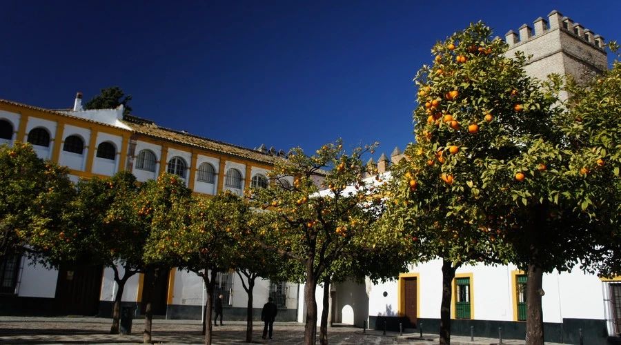 最美人間四月，詩情畫意不可錯(cuò)失的風(fēng)景推薦