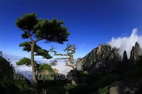 五一小長假，適合游玩的十大風(fēng)景點(diǎn)匯總