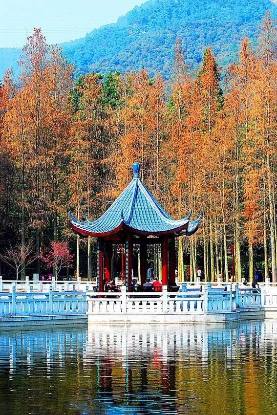 中國最美古建筑，你都認(rèn)識嗎？