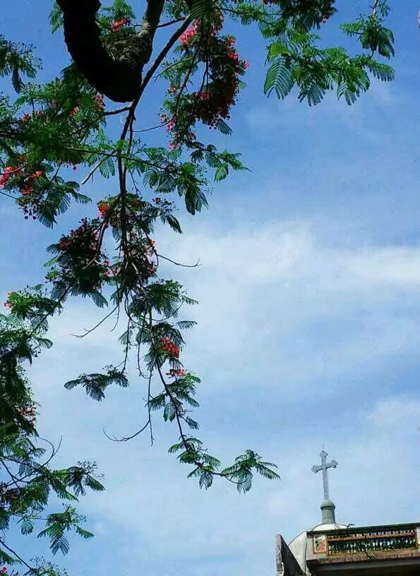 棉湖掠影， 古鎮(zhèn)情懷