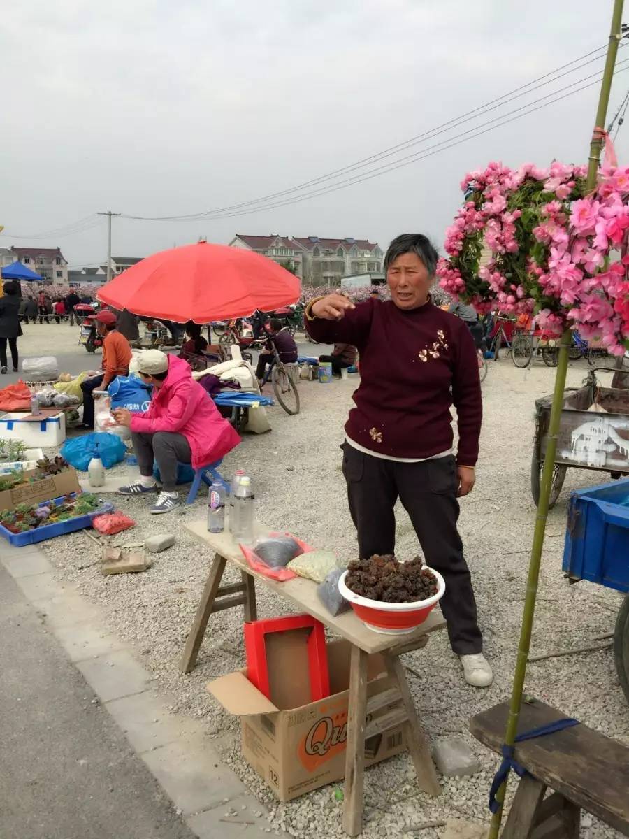 古鎮(zhèn)之外的新場(chǎng)，或許更有新意