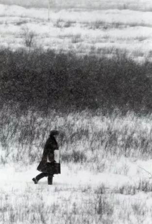 風(fēng)景即心境，東山魁夷筆下的四季