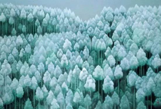 風(fēng)景即心境，東山魁夷筆下的四季