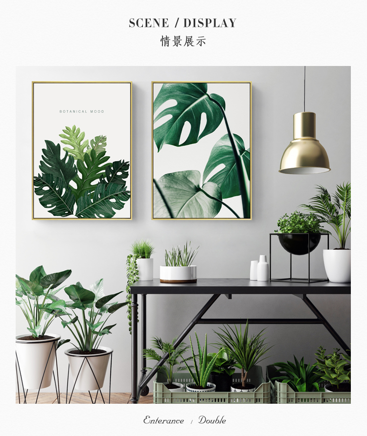 清新植物裝飾畫，簡(jiǎn)約大氣客廳裝飾畫