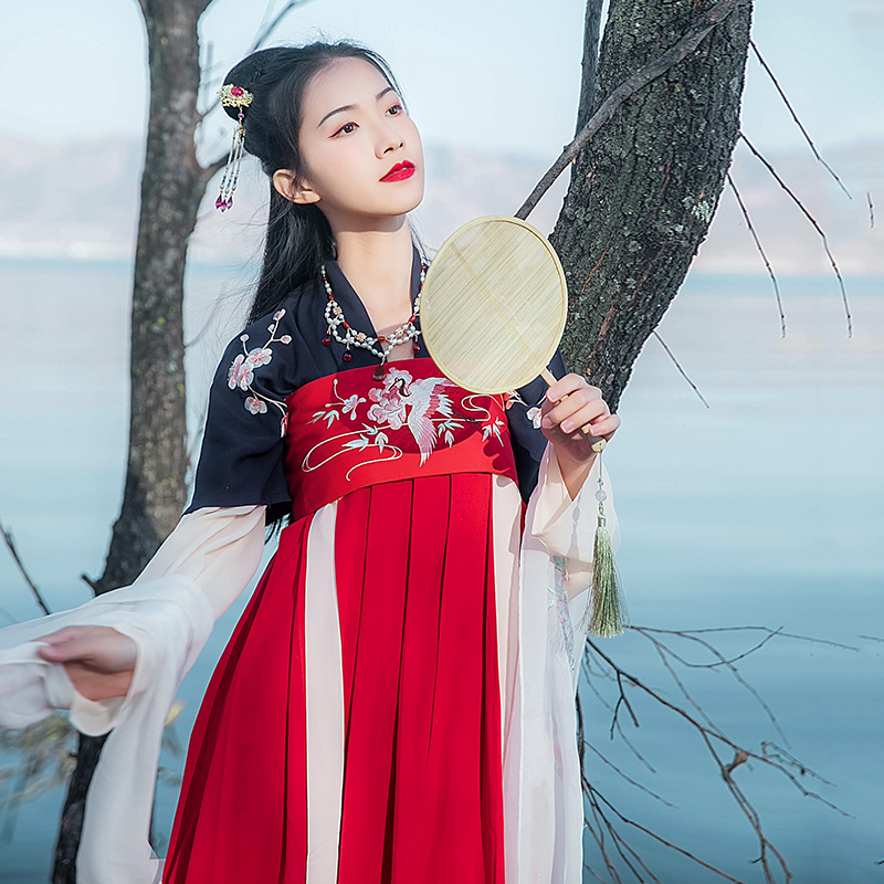 傳統(tǒng)雙袖刺繡漢服上衣，對(duì)襟半臂繡花漢服