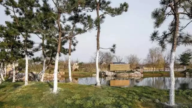 中式裝修，禪意茶室