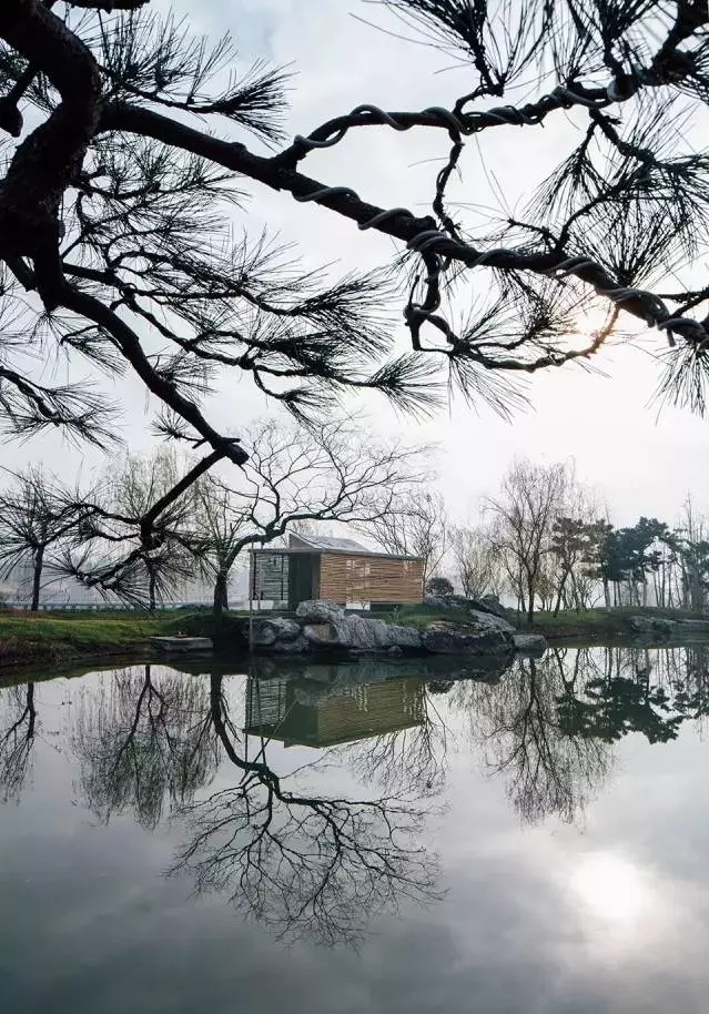 中式裝修，禪意茶室