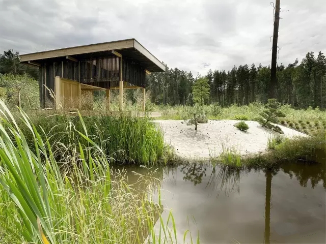 中式裝修，禪意茶室