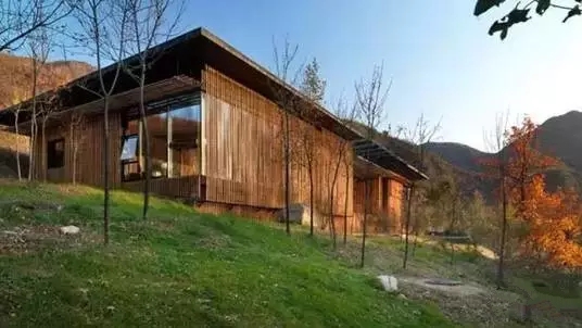 中式裝修，禪意茶室