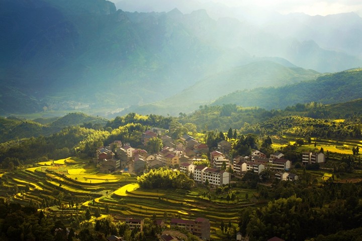 溫州墟里壹號民宿