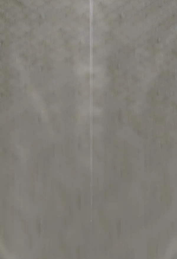 一九三一百雀羚，請(qǐng)開啟我的表演