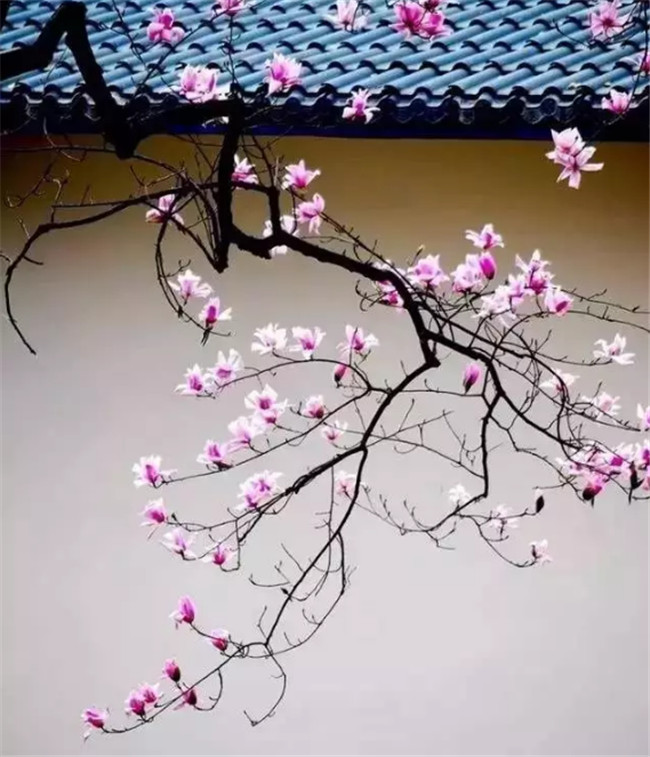 中國最美古建筑，古建筑攝影