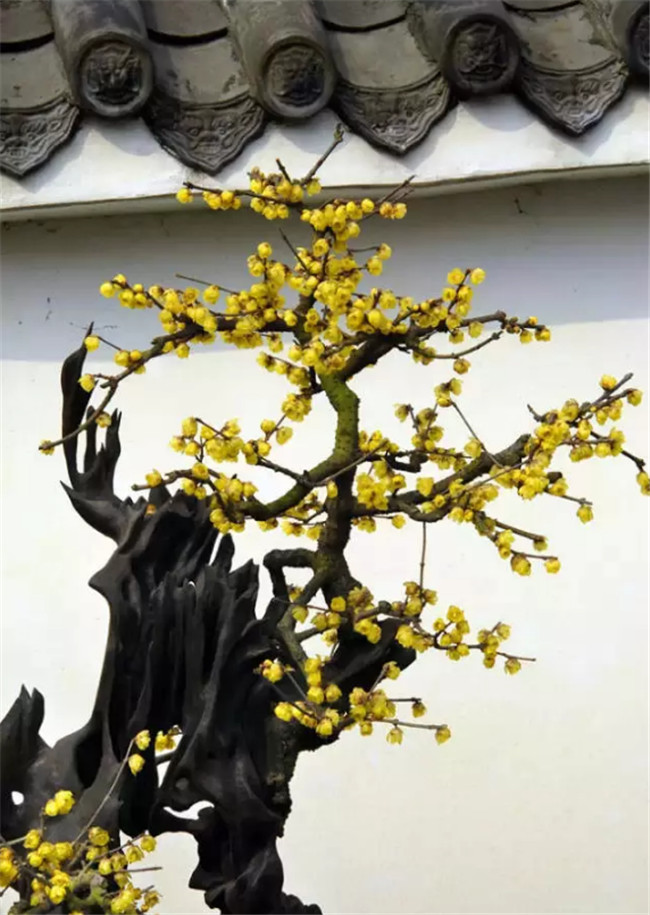 中國最美古建筑，古建筑攝影