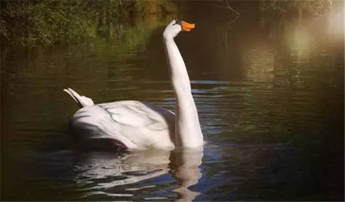 人體彩繪以假亂真！令人嘆為觀止的人體彩繪藝