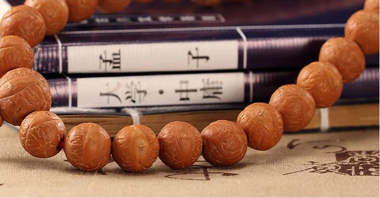 什么是鳳眼菩提？正宗尼泊爾原籽紅皮鳳眼菩提