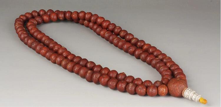 矮樁金眼爆紅小鳳眼菩提怎么盤？