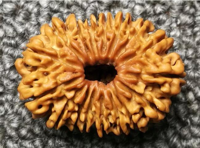 大金剛菩提子幾瓣的好？十七瓣金剛菩提子寓意