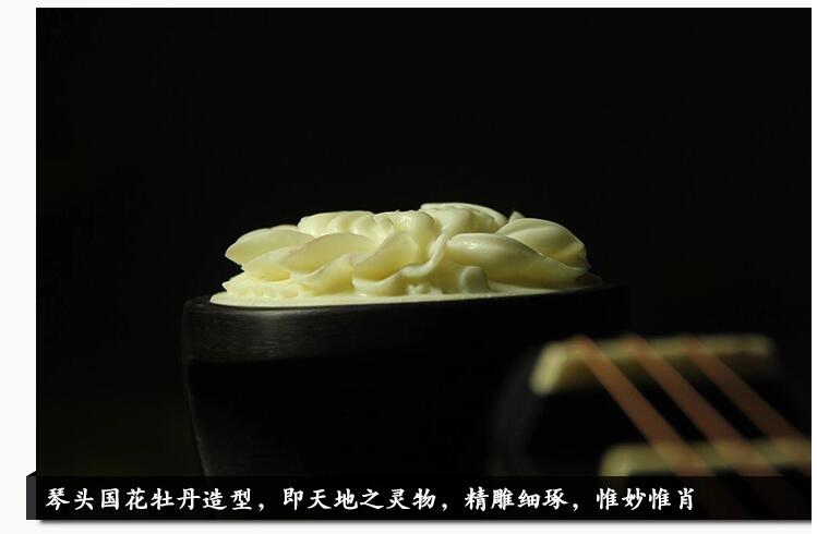 中國(guó)古典樂(lè)器琵琶樂(lè)器