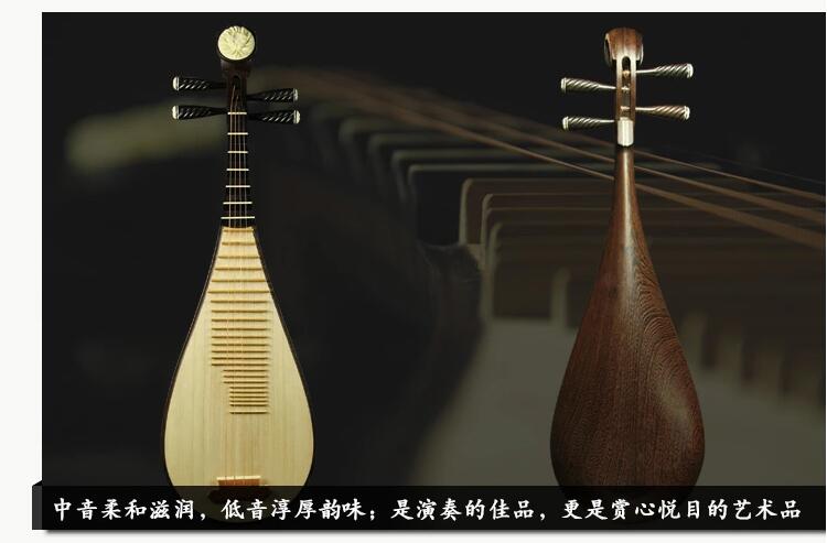中國(guó)古典樂(lè)器琵琶樂(lè)器