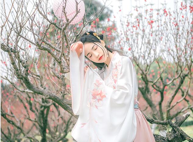 漢服 珠絡繡花交領大袖齊腰襦裙