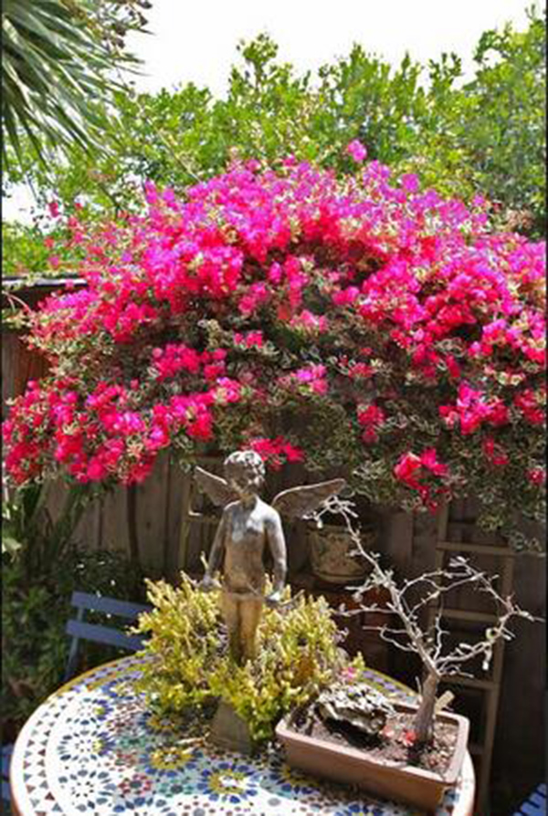 麥克的小屋，美國(guó)民宿