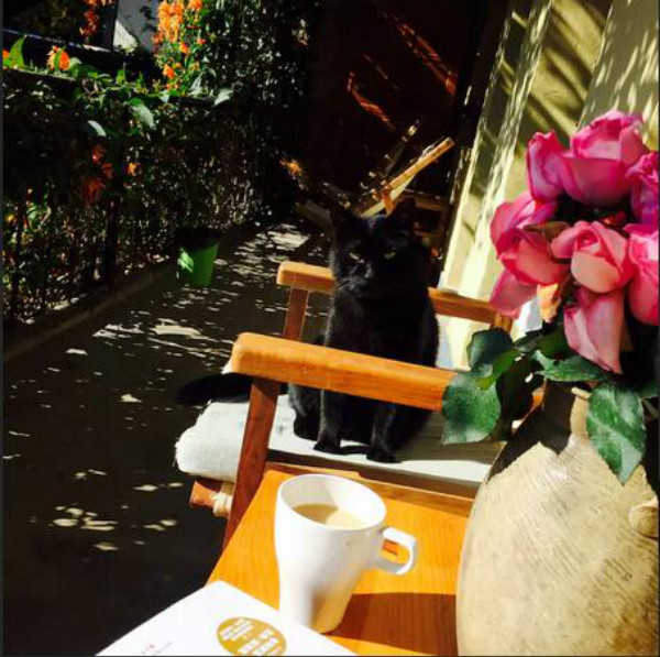 蒼山腳下的民宿，古城內(nèi)貓三家清靜四合小院民