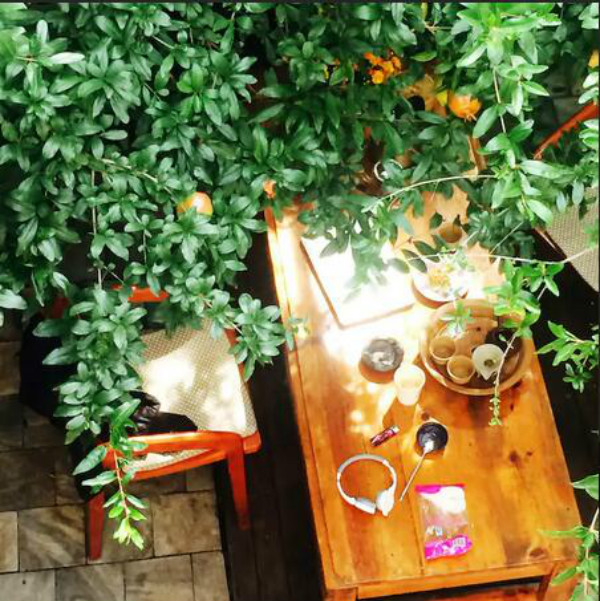 蒼山腳下的民宿，古城內(nèi)貓三家清靜四合小院民