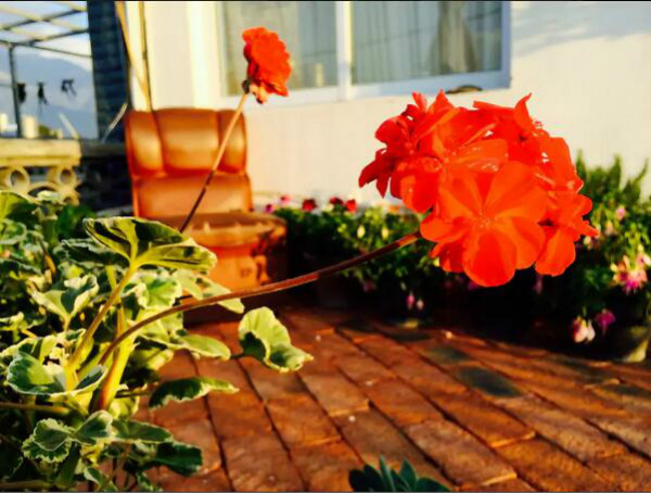 打呼嚕寓所，大理古城里的民宿