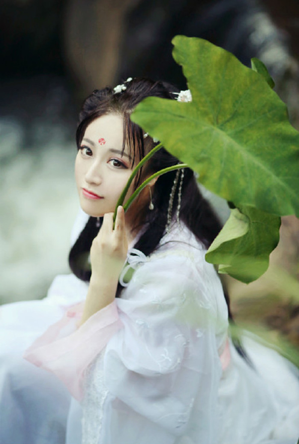 漢服  對(duì)襟齊胸襦裙