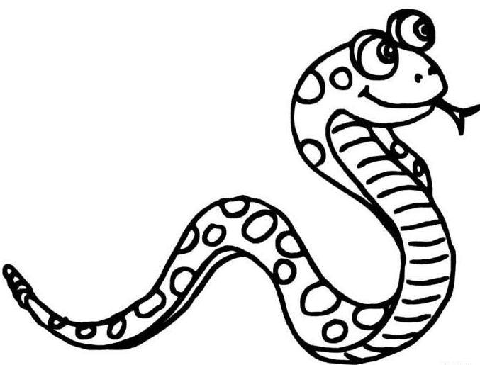 屬蛇的人的床頭朝向風(fēng)水是怎樣的？