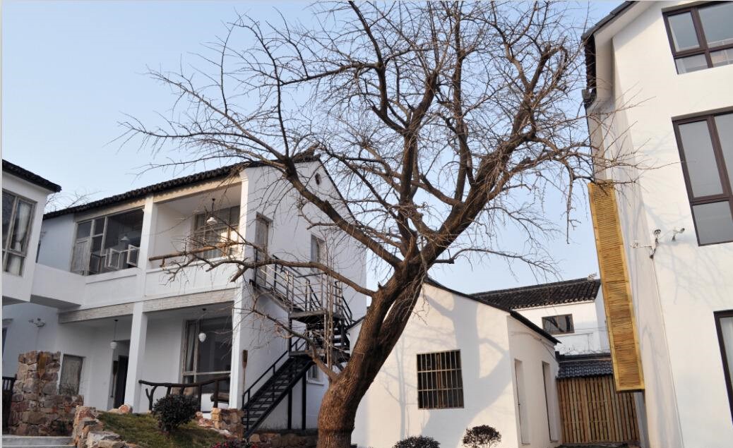 房子坐向風水詳解，房屋的坐向如何確定？