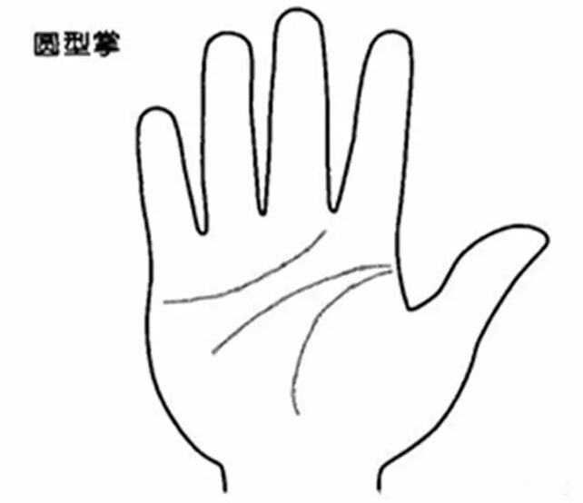 四種不同手掌外形，看出你的不同性格