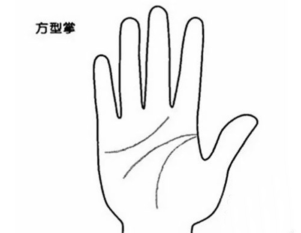 四種不同手掌外形，看出你的不同性格