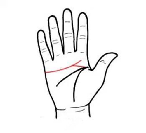 四種不同手掌外形，看出你的不同性格